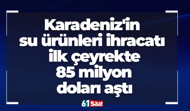 Karadeniz'in su ürünleri ihracatı ilk çeyrekte 85 milyon doları aştı