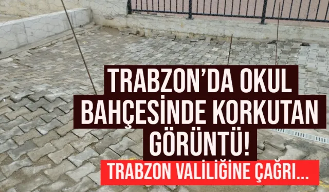 Trabzon'da okul bahçesinde korkutan görüntü!