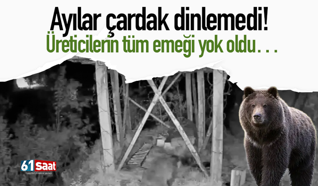 Ayılar çardak dinlemedi! Üreticilerin tüm emeği yok oldu…