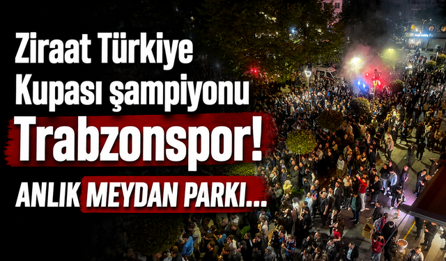 ANLIK MEYDAN PARKI