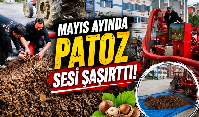 Mayıs ayında patoz sesi şaşırttı!