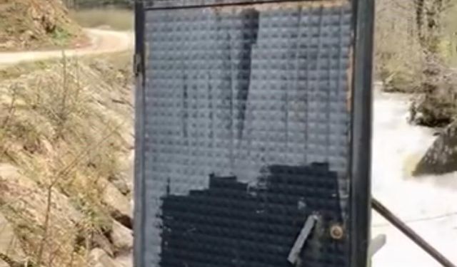 Böylesi ancak Karadeniz'de olur