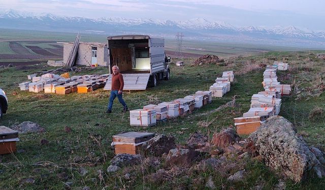 Karadeniz'in gezgin arıcıları yeni sezon için Doğu Anadolu'nun dağlarını mesken tuttu