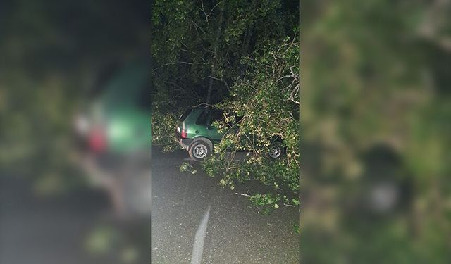 Bartın'da fırtına; ağaçlar devrildi, araçlar zarar gördü