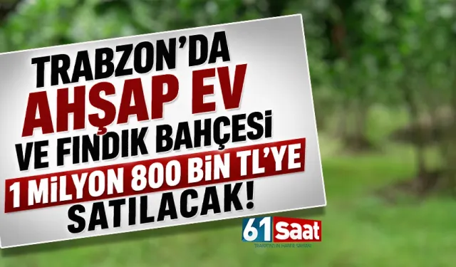 Trabzon'da Ahşap Ev ve Fındık Bahçesi 1 milyon 800 bin TL'ye satılacak!