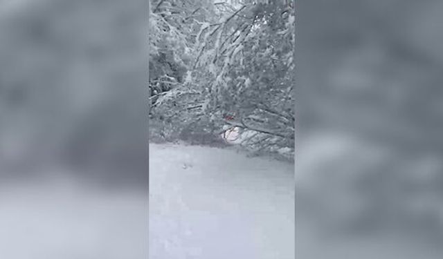Bolu Dağı'nda kar yağışı