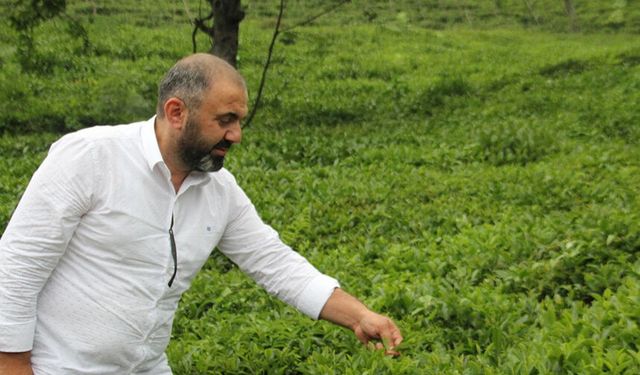 Çakıroğlu: “Sektörde İstikrar İçin Denetim Şart”