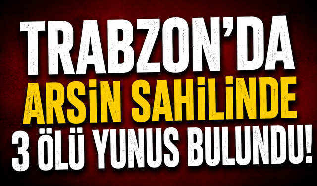 Arsin sahilinde 3 ölü yunus bulundu!