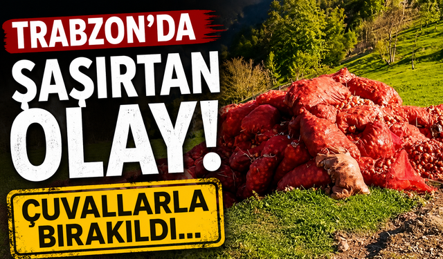 Trabzon'da şaşırtan olay! Çuvallarla bırakıldı...