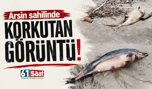 Arsin sahilinde korkutan görüntü!