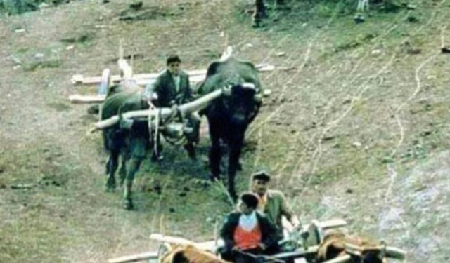 Trabzon muhacirliğinin unutulmayan izleri...