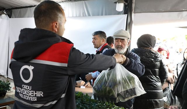 Ordu Büyükşehir, 7 yılda 5 milyona yakın fide dağıttı