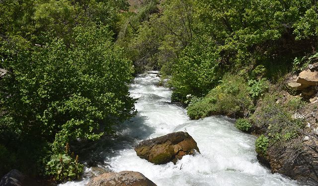 Gümüşhane'deki Tomara Şelalesi ziyaretçilerini ağırlıyor