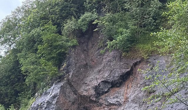 Hopa'da yağış sonrası heyelan: Dev kayalar yolu kapattı