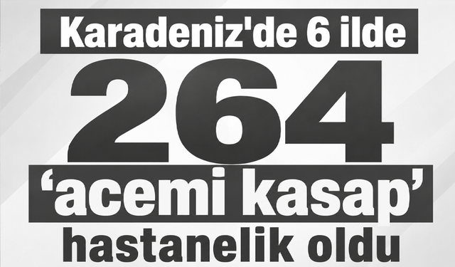Karadeniz'de 6 ilde 264 "acemi kasap" hastanelik oldu
