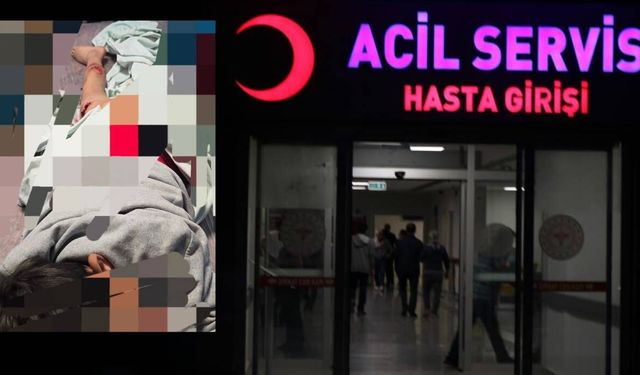 Van’da sokak köpeği dehşeti: 11 yaşındaki çocuk ölümden döndü
