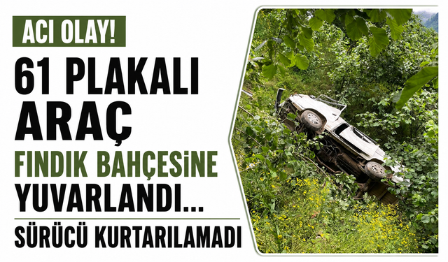 Acı olay! 61 plakalı araç fındık bahçesine yuvarlandı… Sürücü kurtarılamadı