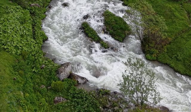 Beyaz örtü kalktı, yaylalar yeşile büründü