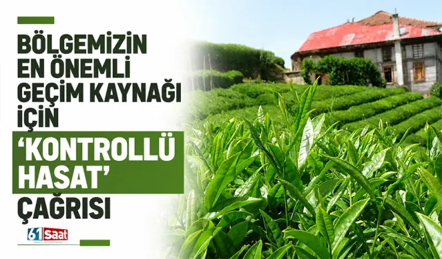 Bölgemizin en önemli geçim kaynağı için "kontrollü hasat" çağrısı