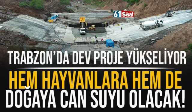 Trabzon'da dev proje yükseliyor! Hem hayvanlara, hem de doğaya can suyu olacak!