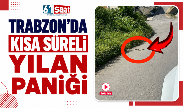 Trabzon’da kısa süreli yılan paniği!