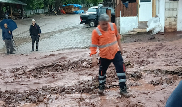 Artvin'de sağanak sonrası dereler taştı