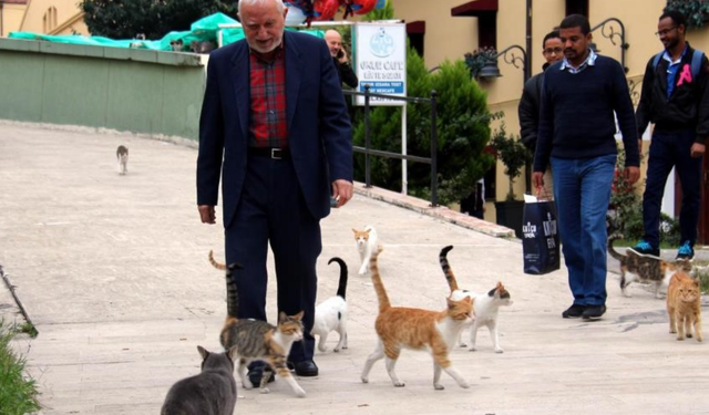 Sokak kedilerinin dedesi yıllardır kimsesiz kedilere sıcak yuva oluyor