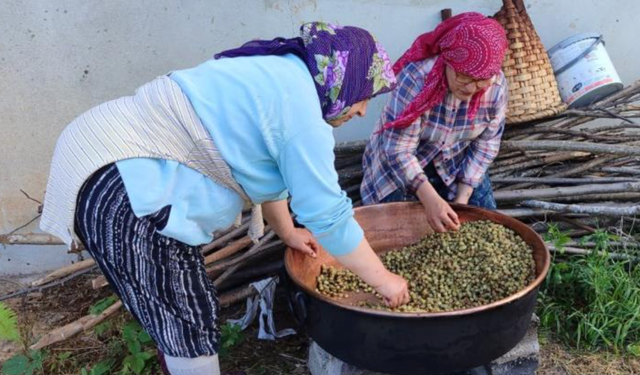 Karadeniz'de dut pekmezi mesaisi başladı: Kazanlar şifa için kaynıyor