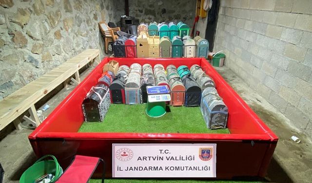 Artvin'de 'horoz dövüşü' operasyonu; 39 kişiye toplam 508 bin 248 TL ceza