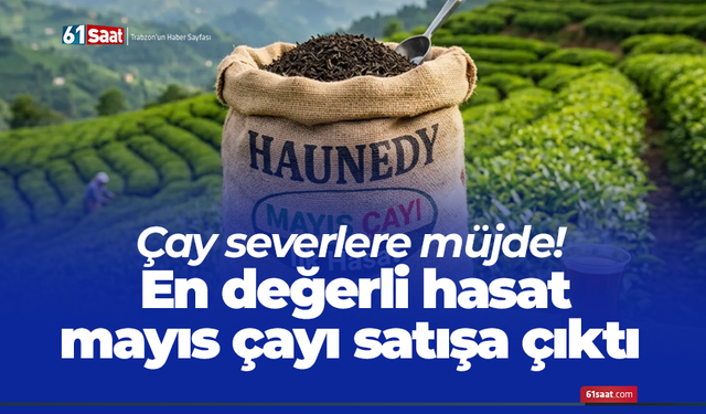 Çay severlere müjde! En değerli hasat mayıs çayı satışa çıktı