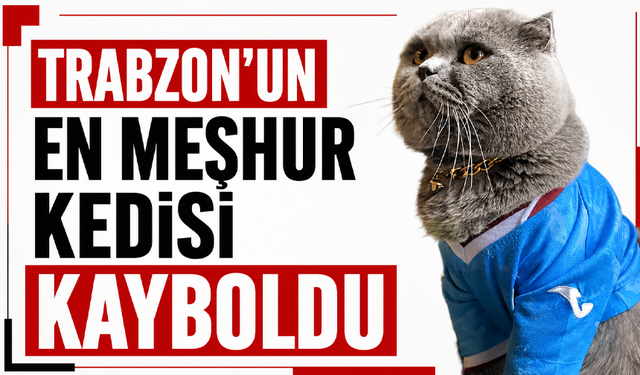 Trabzon’un en meşhur kedisi kayboldu