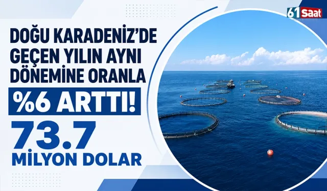 Doğu Karadeniz'de geçen yılın aynı dönemine oranla %6 arttı! 73.7 milyon dolar