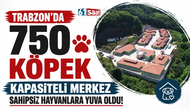 Trabzon'da 750 köpek kapasiteli merkez sahipsiz hayvanlara yuva oldu!