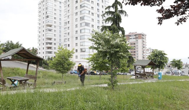 Akçaabat Belediyesi'nden yeşil alanlarda yoğun mesai