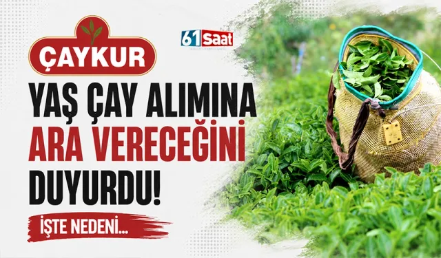 ÇAYKUR yaş çay alımına ara vereceğini duyurdu! İşte nedeni...