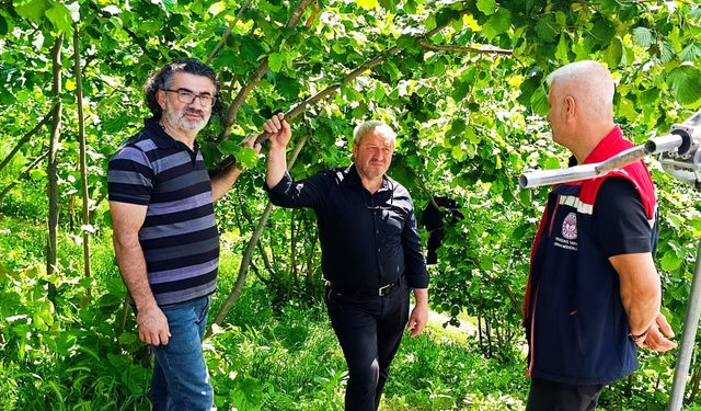 Trabzon'da üreticiye flaş uyarı! Temmuz ayında