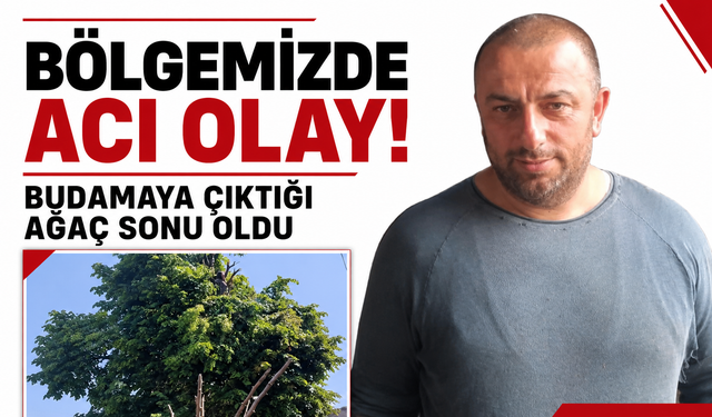 Bölgemizde acı olan! Budamaya çıktığı ağaç sonu oldu