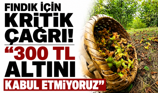 Fındık için kritik çağrı! “300 TL altını kabul etmiyoruz”