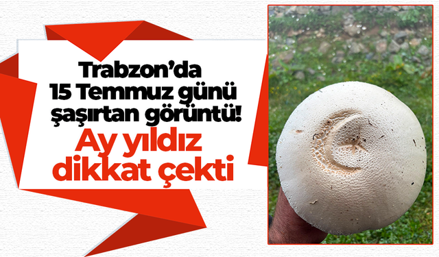 Trabzon’da 15 Temmuz günü şaşırtan görüntü! Ay yıldız dikkat çekti