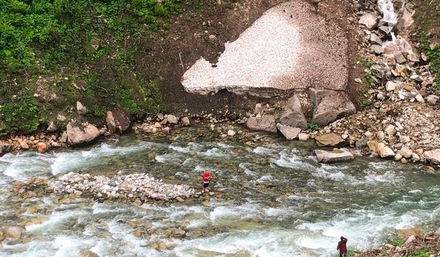 Papağanını kurtardı, kendisi mahsur kaldı