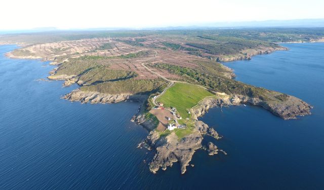 Sinop en yeşil iller arasında