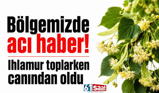 Bölgemizde acı haber! Ihlamur toplarken canından oldu