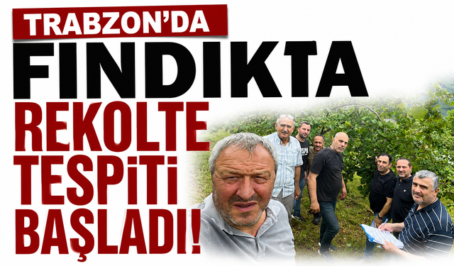 Trabzon’da fındıkta rekolte tespiti başladı