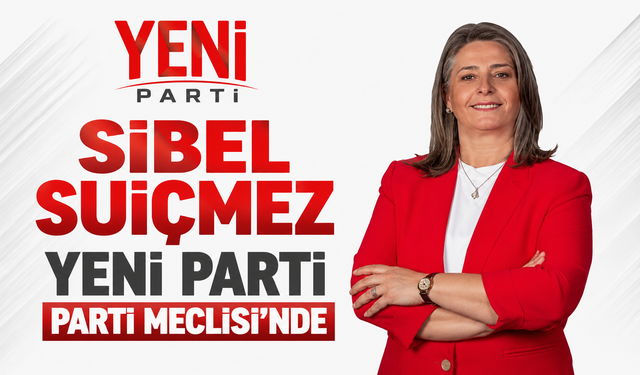 Sibel Suiçmez, Yeni Parti Parti Meclisi’nde