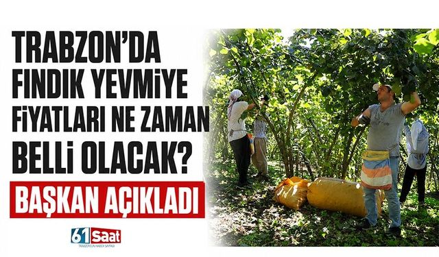 Trabzon’da fındık yevmiye fiyatları ne zaman belli olacak? Başkan açıkladı