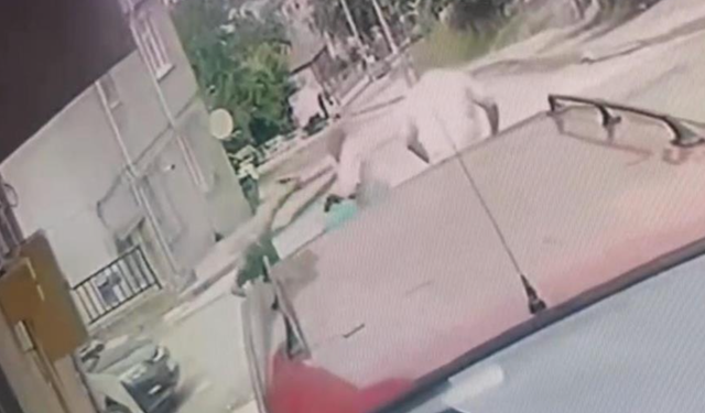 Ordu'da kardeş zanlısı teslim oldu