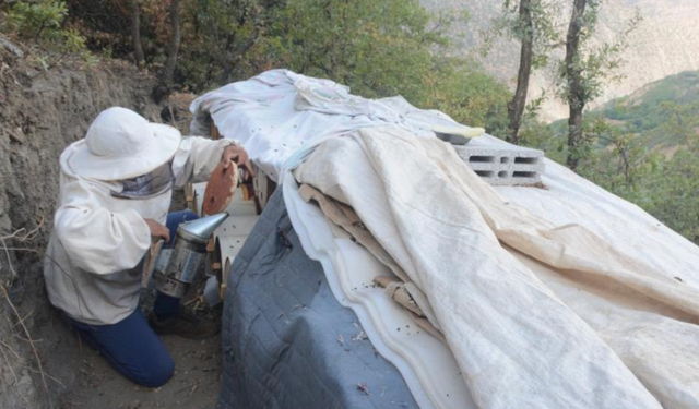 Bitlis’in ödüllü Hizan karakovan balı, NATO Zirvesi menüsünde