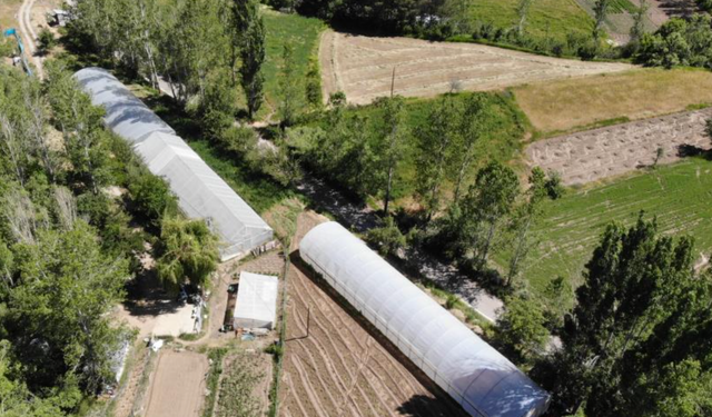 Bayburt İl Tarım ve Orman Müdürlüğü ile Doğu Karadeniz Projesi (DOKAP) Bölge Kalkınma İdaresi Başkanlığı iş birliğinde y