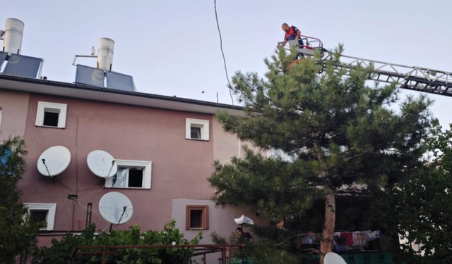 Apartman çatısında mahsur kalan kedi itfaiye ekiplerince kurtarıldı