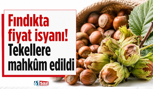 Fındıkta fiyat isyanı! Tekellere mahkûm edildi